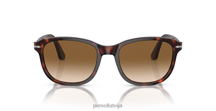 lv Persol po1935s saulesbrilles havana 2JTZL169